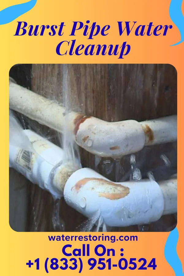 Burst Pipe Water Cleanup in Farmersville, PA