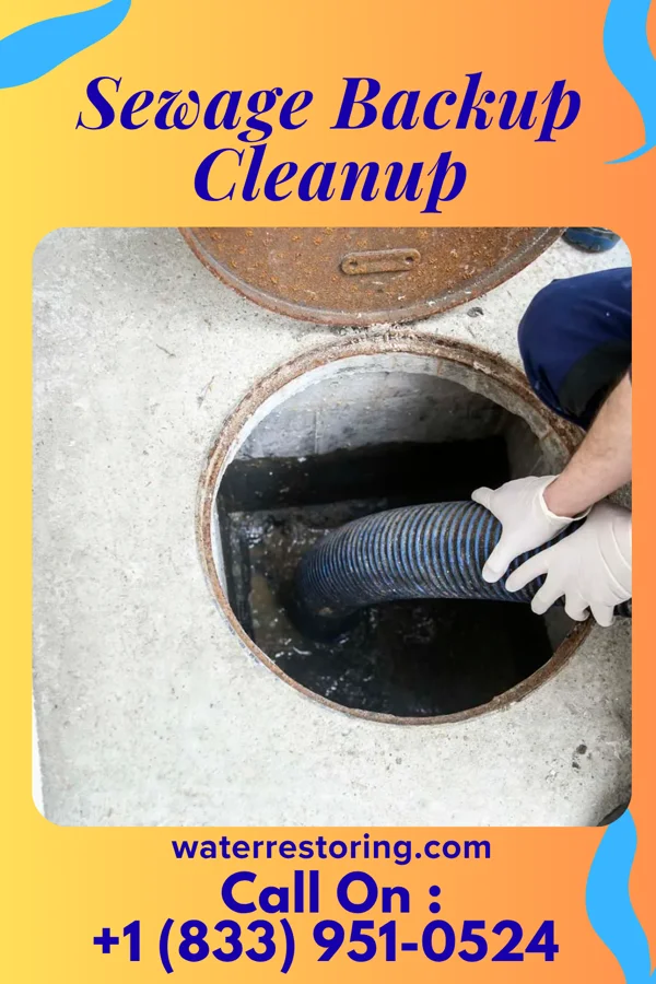 Sewage Backup Cleanup in Farmersville, PA