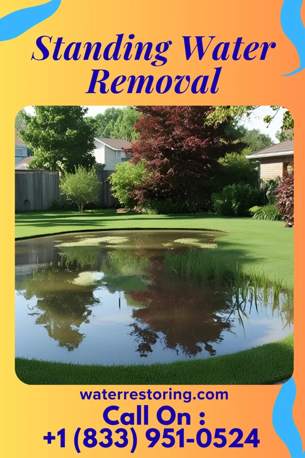 Standing Water Removal in Farmersville, PA